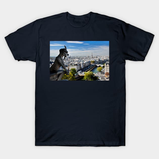 View of the City of Paris T-Shirt by BE MY GUEST MARKETING LLC